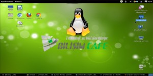 linux isletim sistemi
