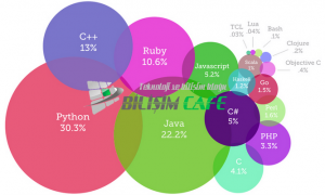 programlama dilleri ve gelisimi