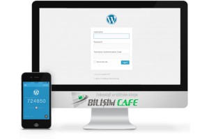 wordpress admin