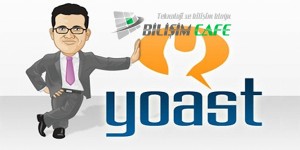 wordpress yoast seo