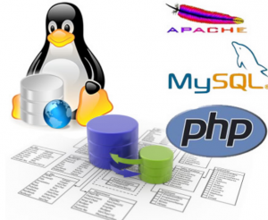 mysql