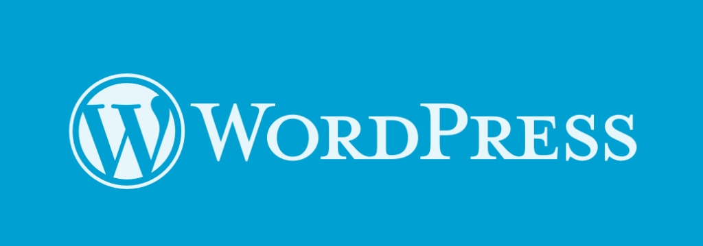 Wordpress Veritabanı Nasıl Yedeklenir?