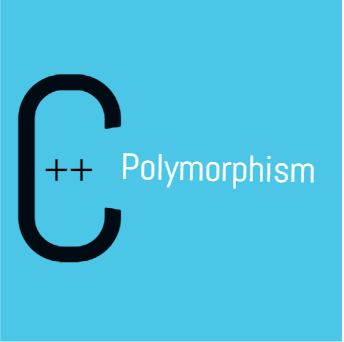 c++ poliformizm
