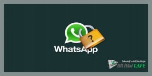 Whatsapp Numara Gizleme Nasıl Yapılır