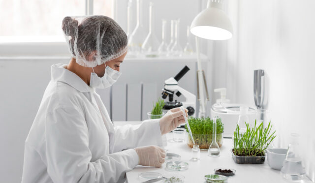 yapay et ve bitki temelli gida urunleri