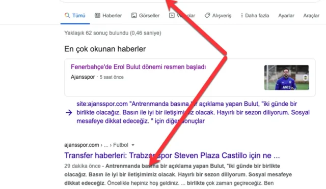 SEO Dizinleme Sorunları: Çözüm ve İpuçları