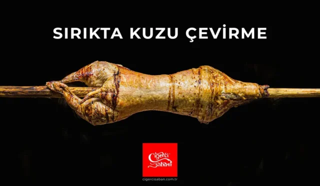 image 5CE0FY3LVI.webp