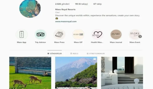 image GYZJO5JWG0.webp