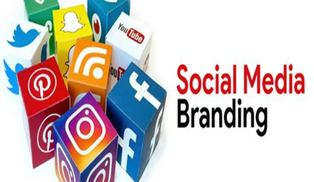 image JJU4S0QT1S.webp