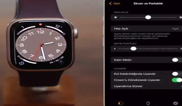 image M33SDLQNVS.webp