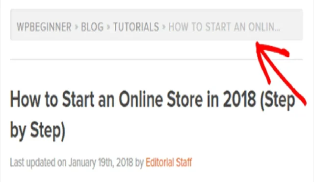 image MLCA0MJORB.webp