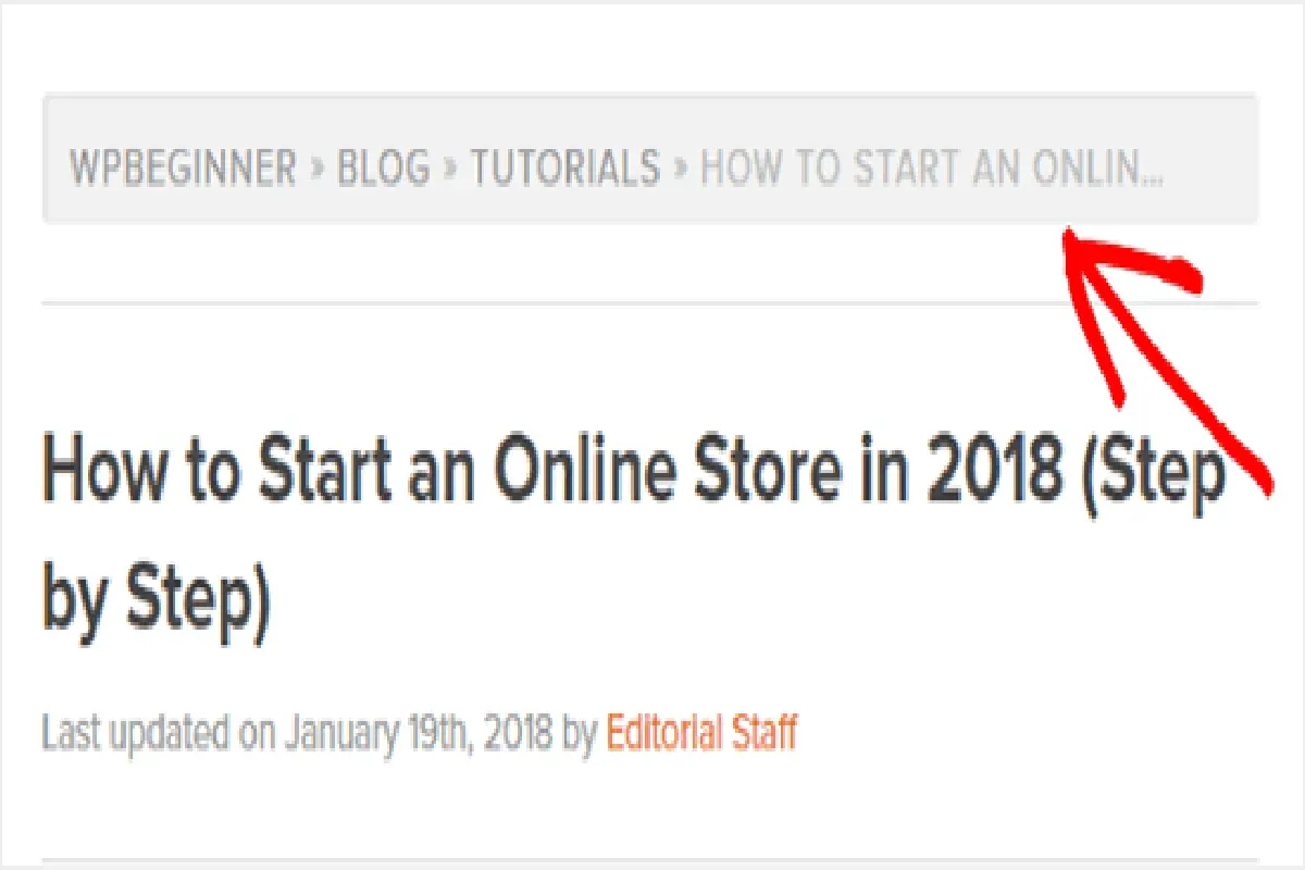 Nihai SEO Rehberi: Başlangıçlar İçin Adım Adım Taktikler