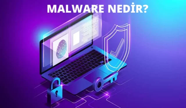 image OSBOEF7IB9.webp