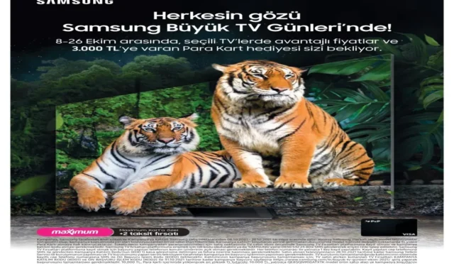 image QXHZVAJDHY.webp