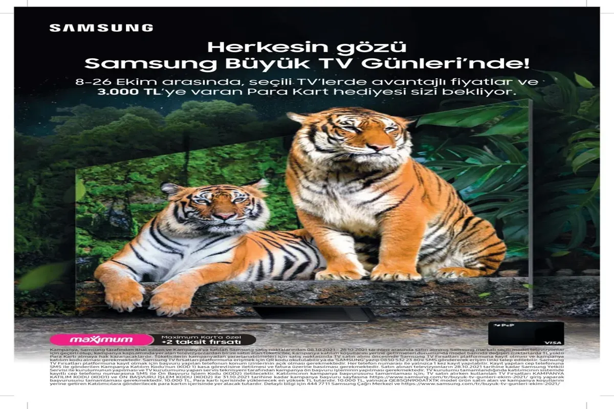 image QXHZVAJDHY.webp