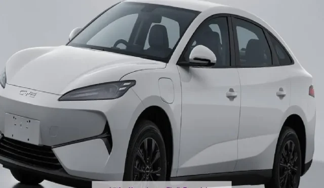 image UFLSVM2GJF.webp