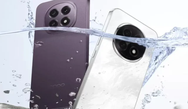 image WCFMRQRVJB.webp