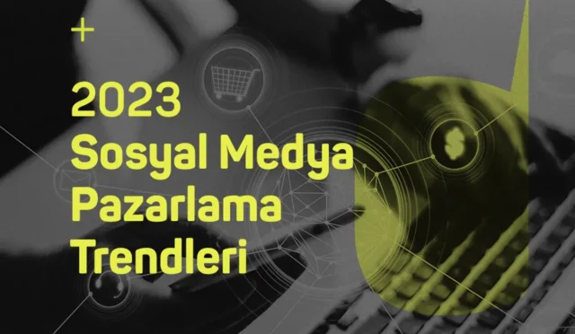 image WYO2ZX4TR8.webp